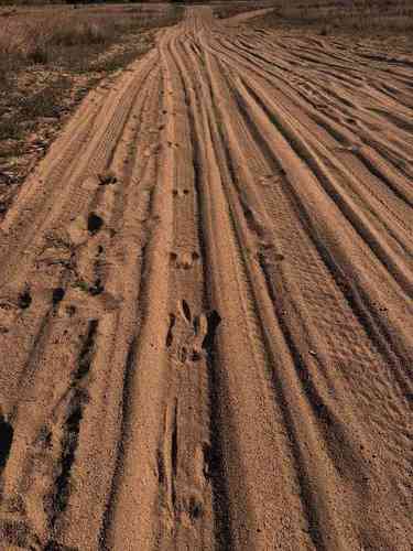 Footprints on sandy track